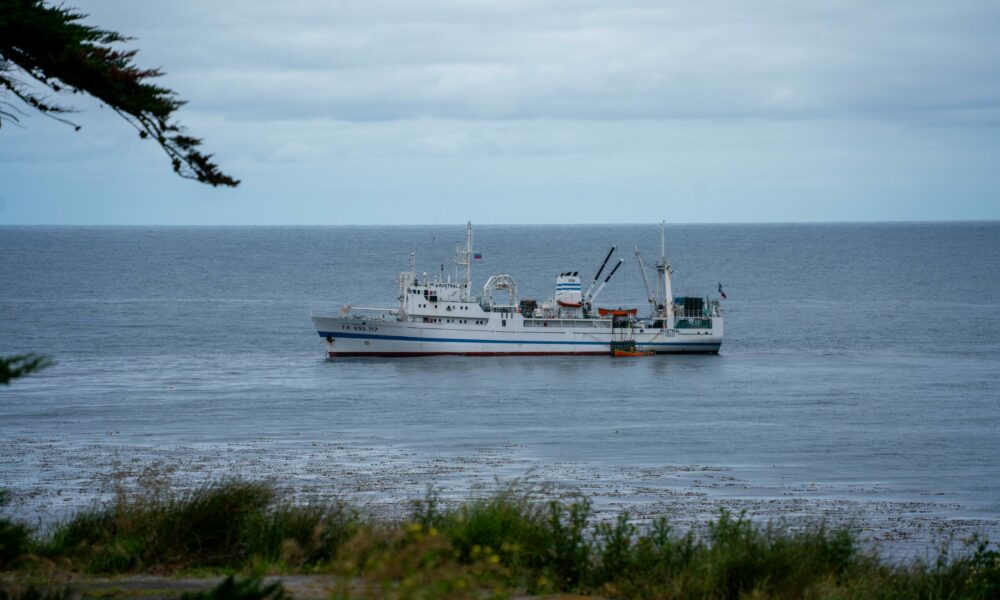 Bateau l'Austral, pêche à la langouste