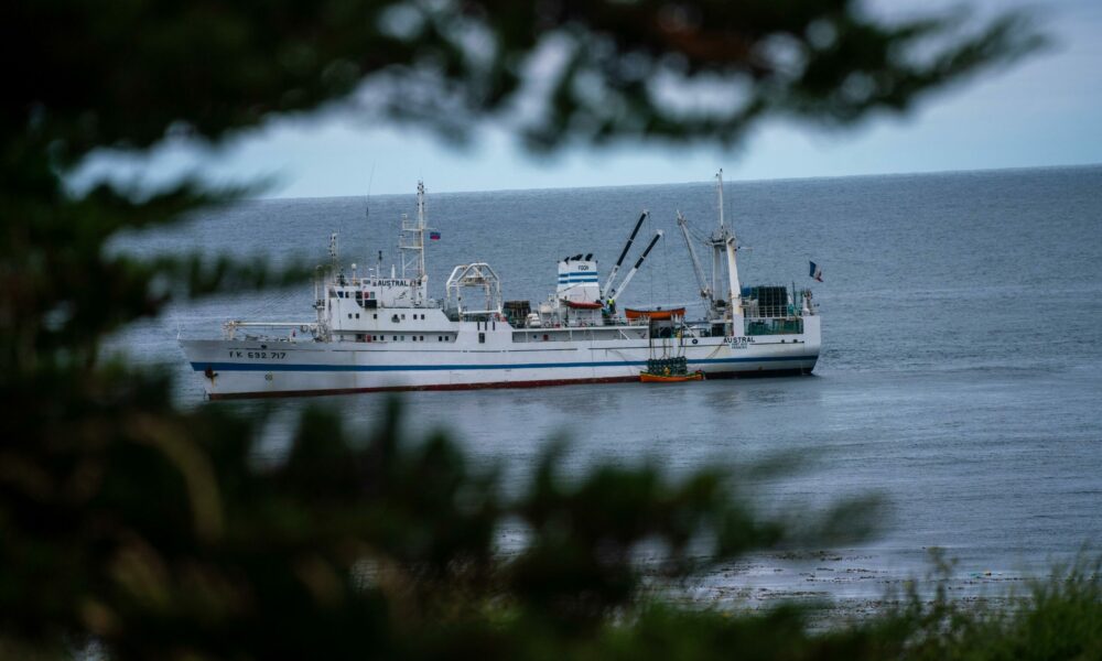 Bateau l'Austral, pêche à la langouste