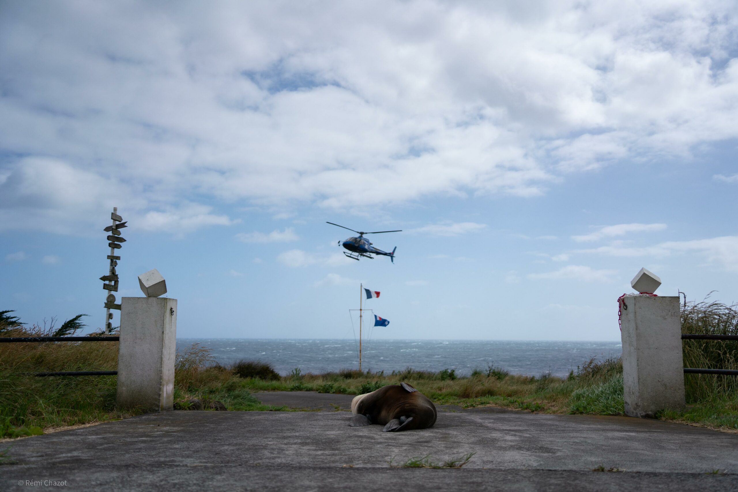 Entrée de la base Martin-de-Viviès - Les opérations portuaires